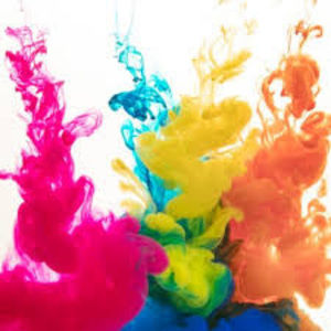 Meet your Posher, Kaycie